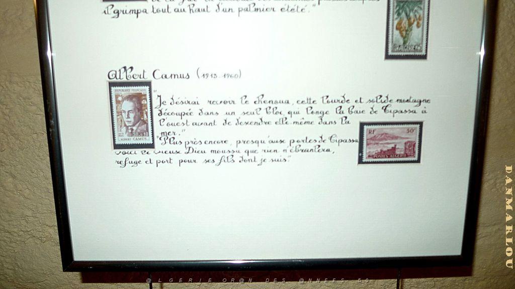 CDFA01de MICHEL JOURNAU  (53).jpg